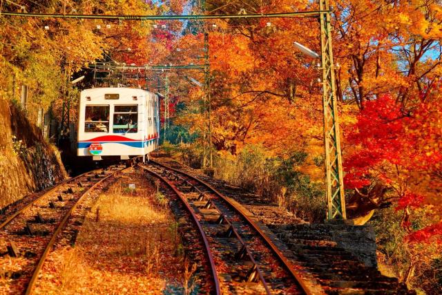 Viaggio in funivia tra le montagne di Kyoto