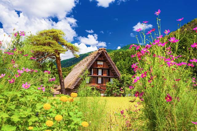 Fattorie tradizionali in estate, Shirakawago