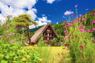 Fattorie tradizionali in estate, Shirakawago