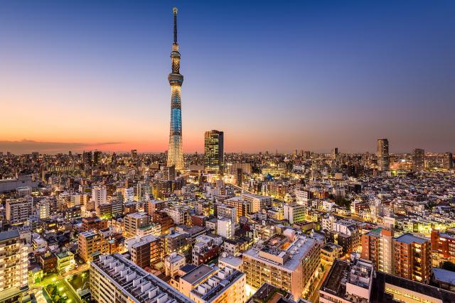 Panorama della città di Tokyo con lo Skytree