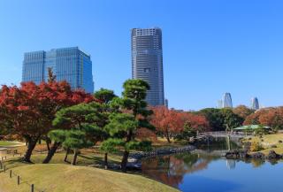Giardino Hamarikyu, Tokyo