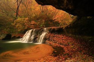 Natura, Hanamaki